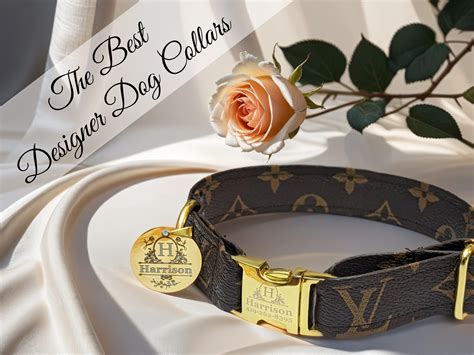 pink prada dog collar|best designer dog collar.